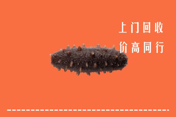 高价求购：泰山区回收海参