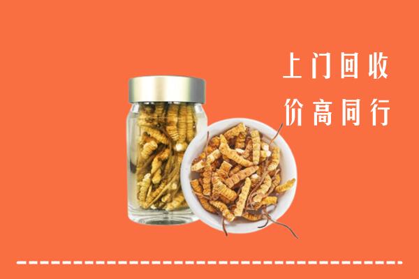 泰山区回收冬虫夏草