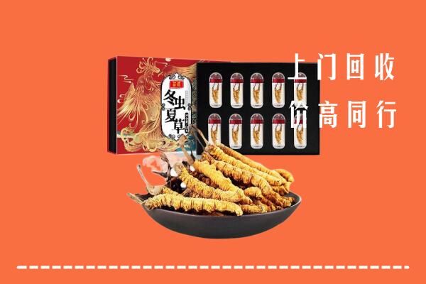 泰山区回收虫草
